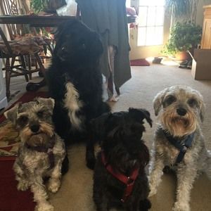 Meet your Posher, Laura